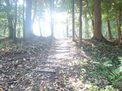 岡山県にある吉備津神社の敷地内です。階段を照らす朝日が神々しかったー