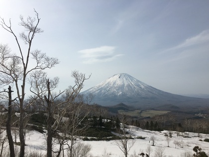 2016年春の羊蹄山です
