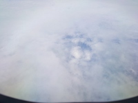 ２０２４年もよろしくお願いします